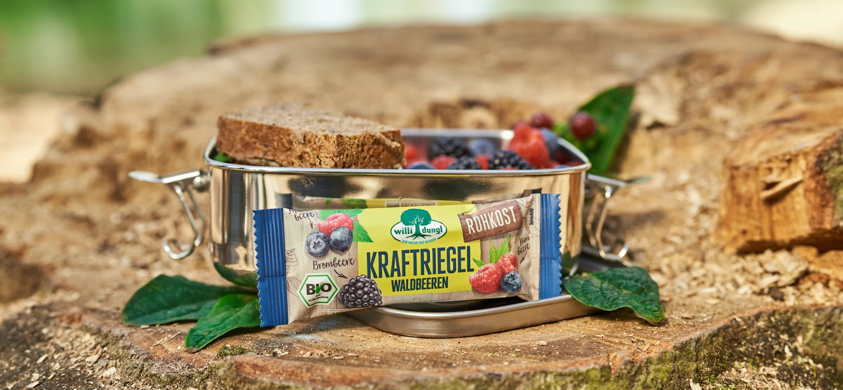Metall-Lunchbox mit Brot, Beeren und Energieriegel auf einem Baumstumpf zwischen grünen Blättern im Freien.