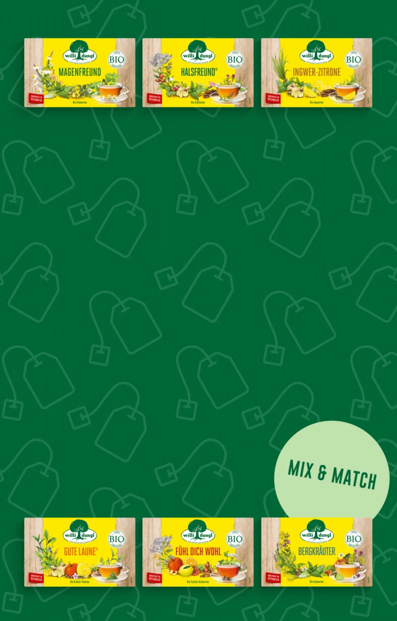 Sechs Kräutertee-Boxen auf grünem Hintergrund mit Teebeutel-Illustrationen, „Mix & Match“ in der Ecke.