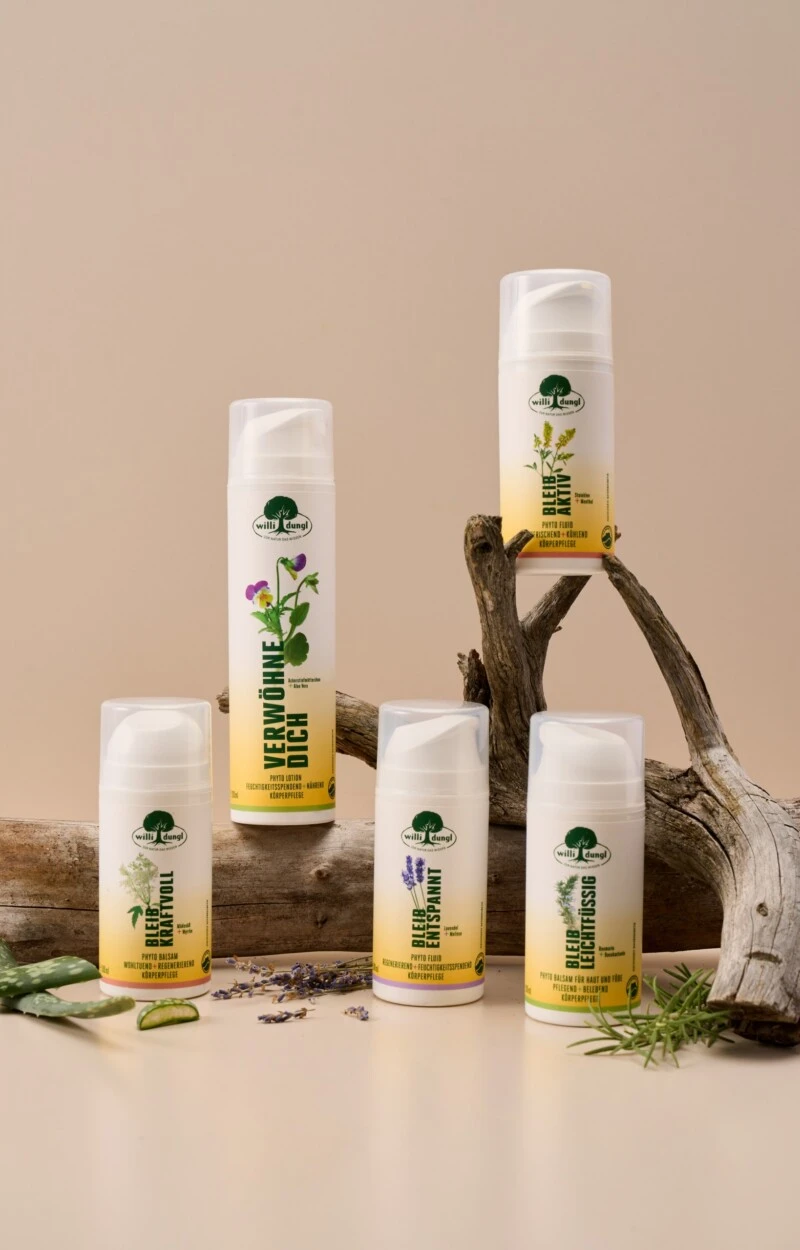 Fünf Hautpflegeflaschen mit grünen Etiketten auf Treibholz, umgeben von Aloe-, Lavendel- und Rosmarinzweigen.