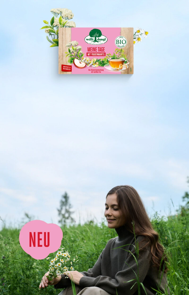 Frau im hohen Gras mit Wildblumen neben Meßmer Meine Tage Teedose, Teetasse und rosa NEU-Etikett.