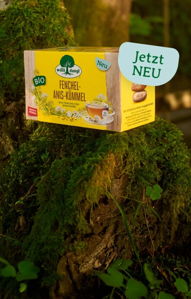 Gelbe Schachtel mit Fenchel-, Anis- und Kümmeltee auf einem moosbewachsenen Baumstumpf.