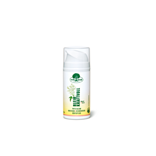 BLEIB KRAFTVOLL Phyto-Balsam 100ml