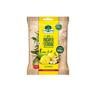 Ingwer & Zitrone  65g