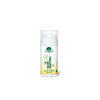 BLEIB KRAFTVOLL Phyto-Balsam 100ml
